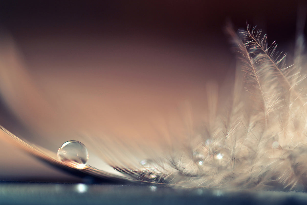 3-piece-canvas-print-stories-of-drops
