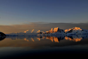 framedposter-print-peaceful-antarctic