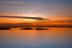 canvas-print-by-sunset