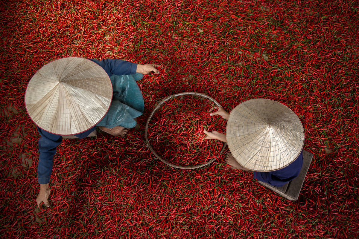 aluminium-print-chilli