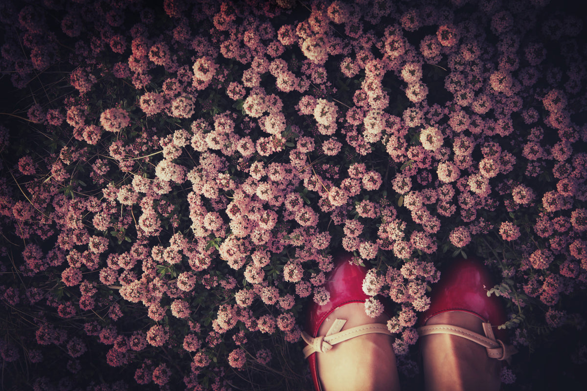 framedcanvas-print-thyme-carpet-x