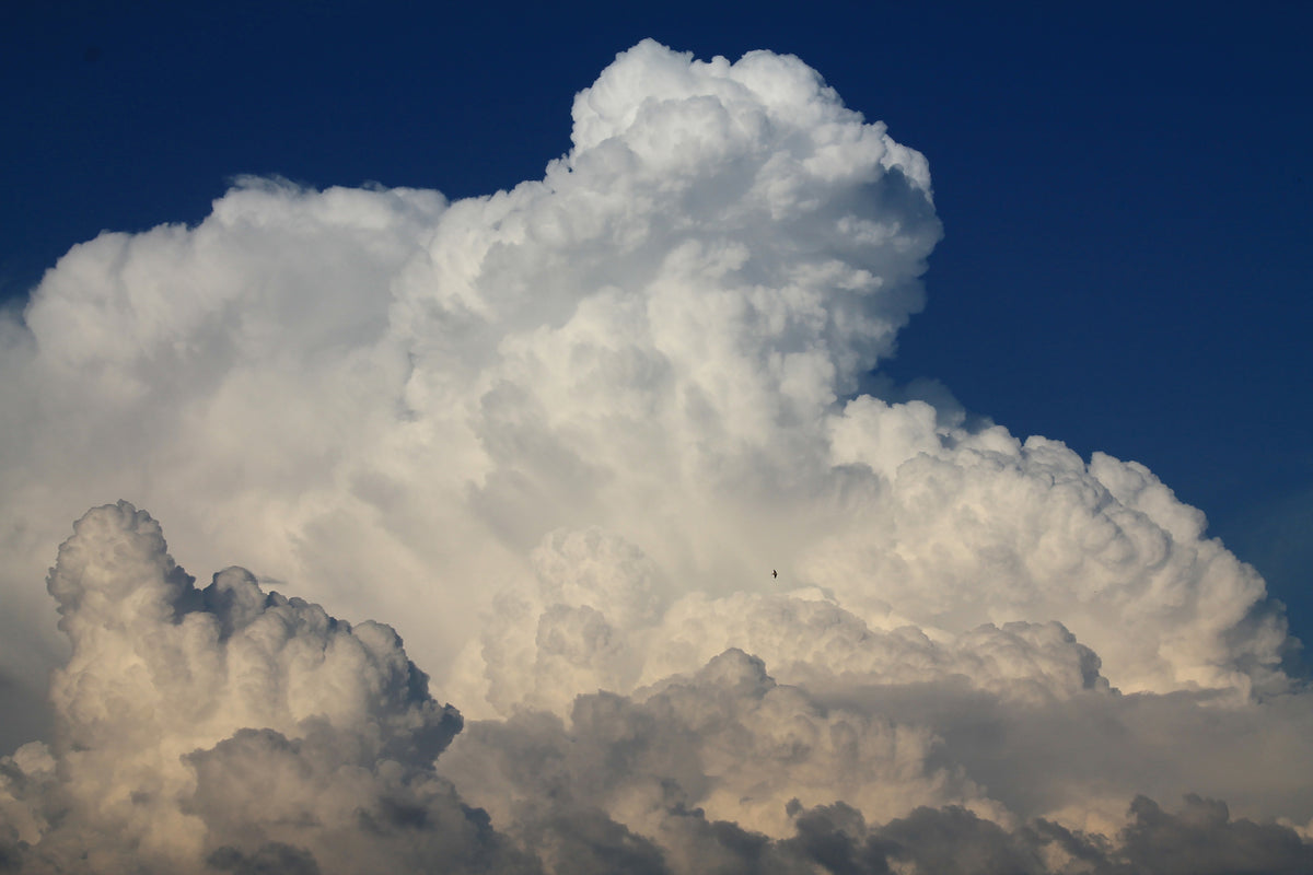 aluminium-print-the-cumulus-cloud