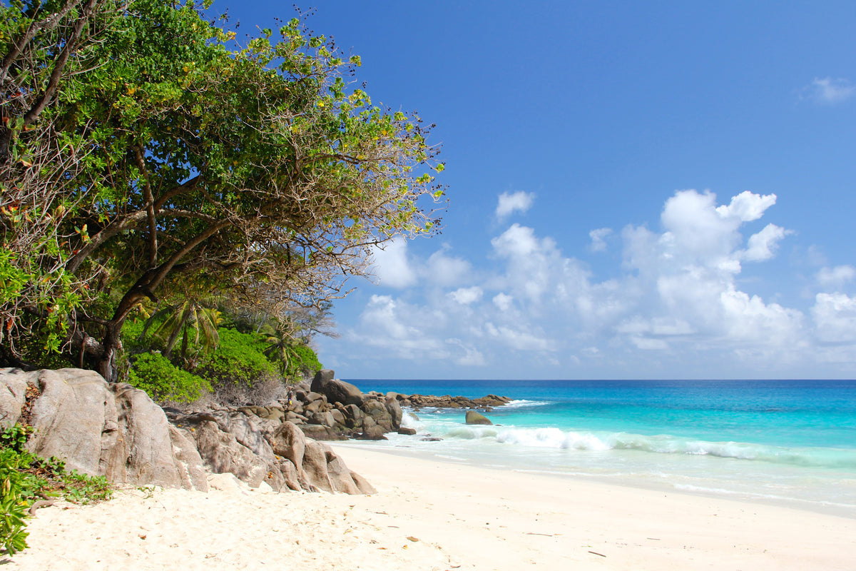 canvas-print-dream-beach-seychelles