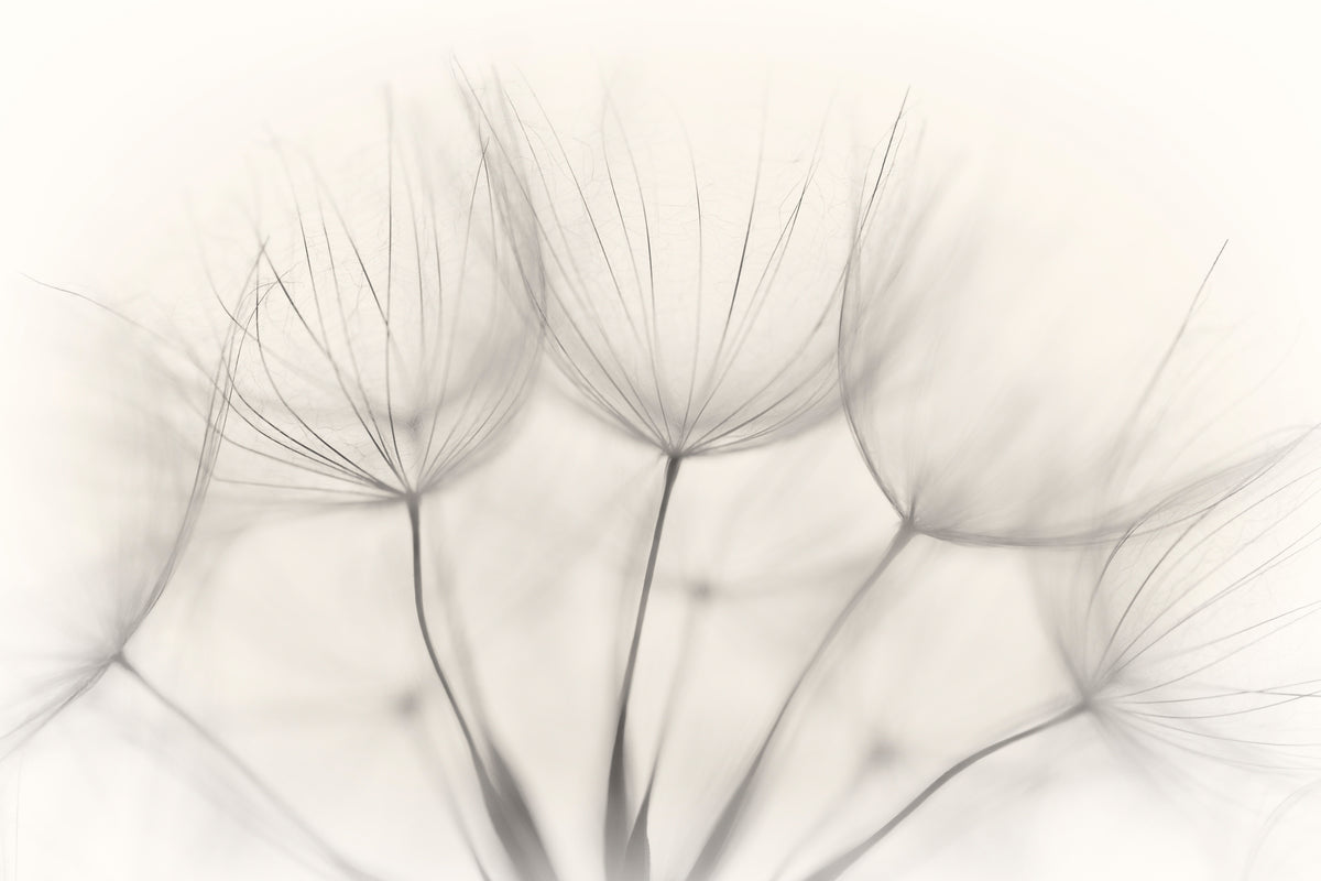 aluminium-print-no-title