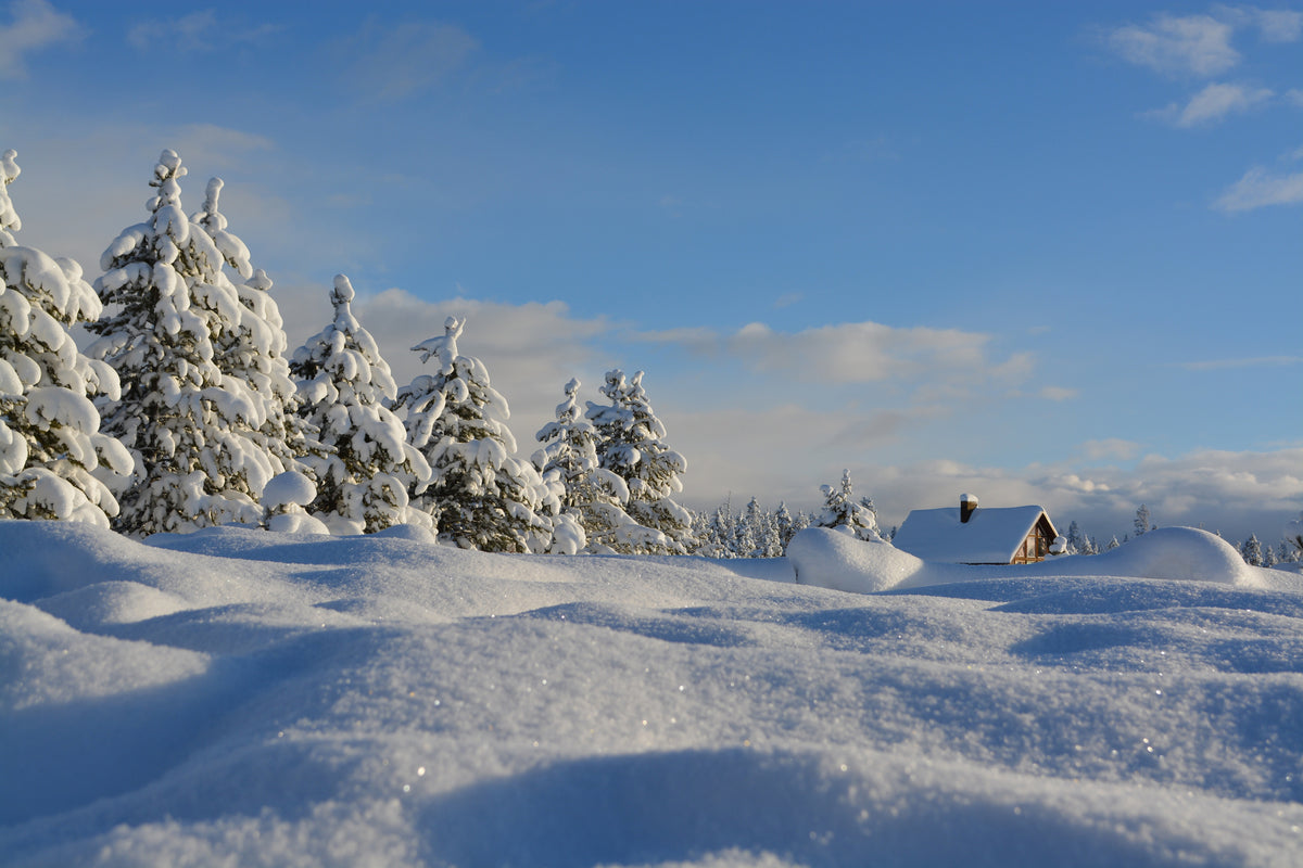 framedcanvas-print-beautiful-snow-landscape