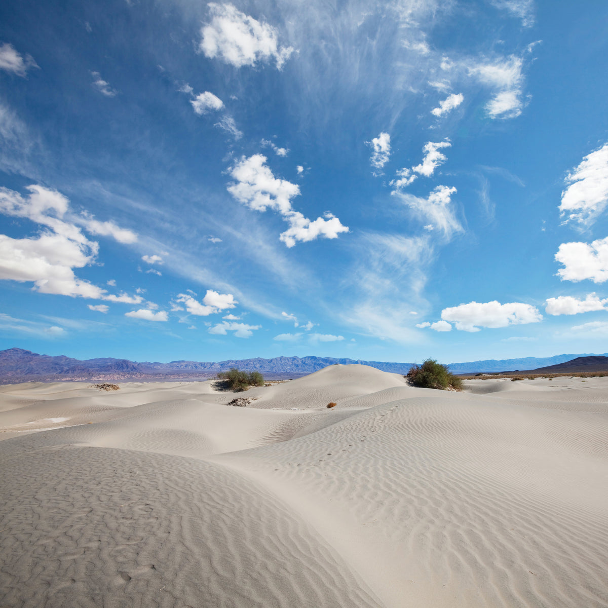 aluminium-print-desert-landscape