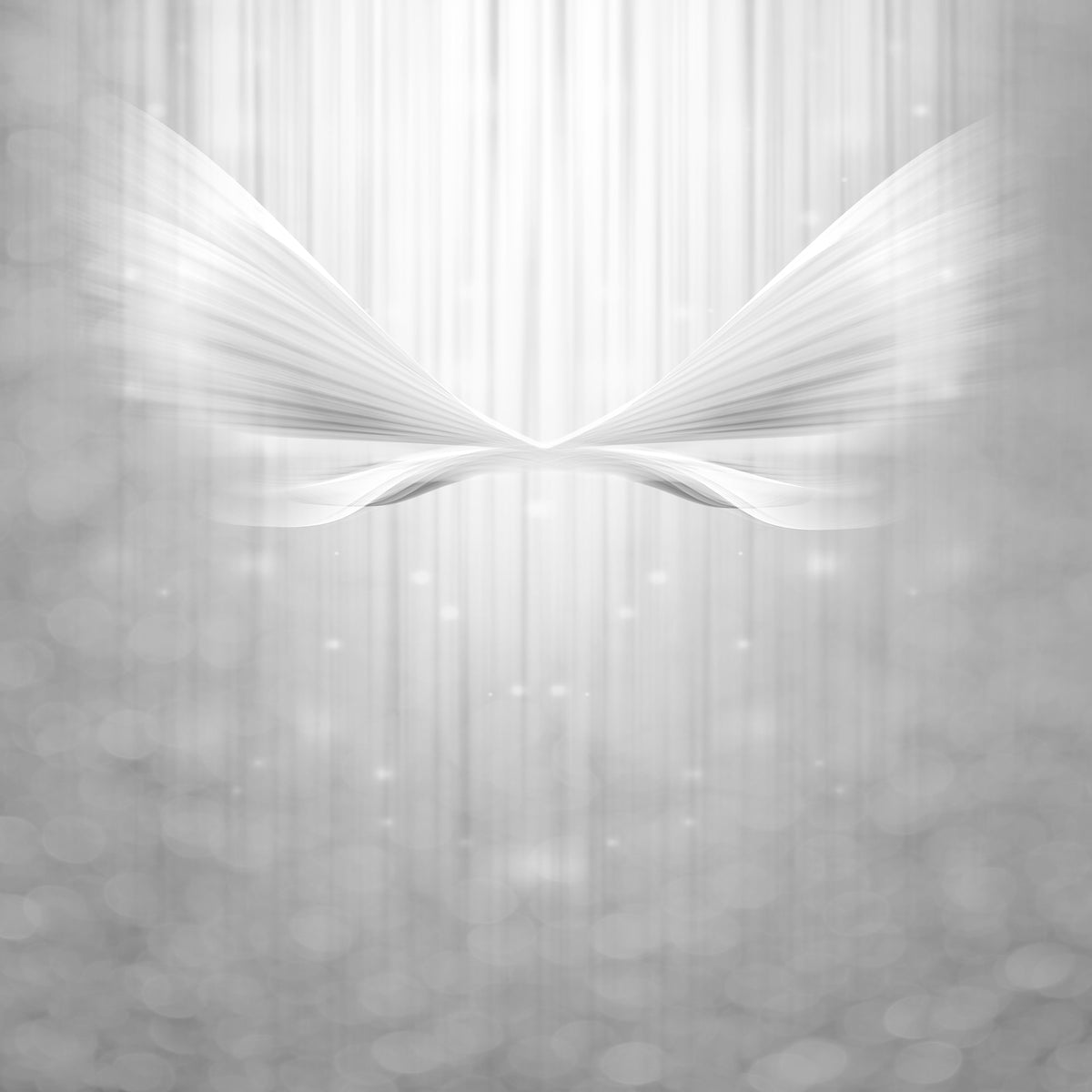 4-piece-canvas-print-angel-wings