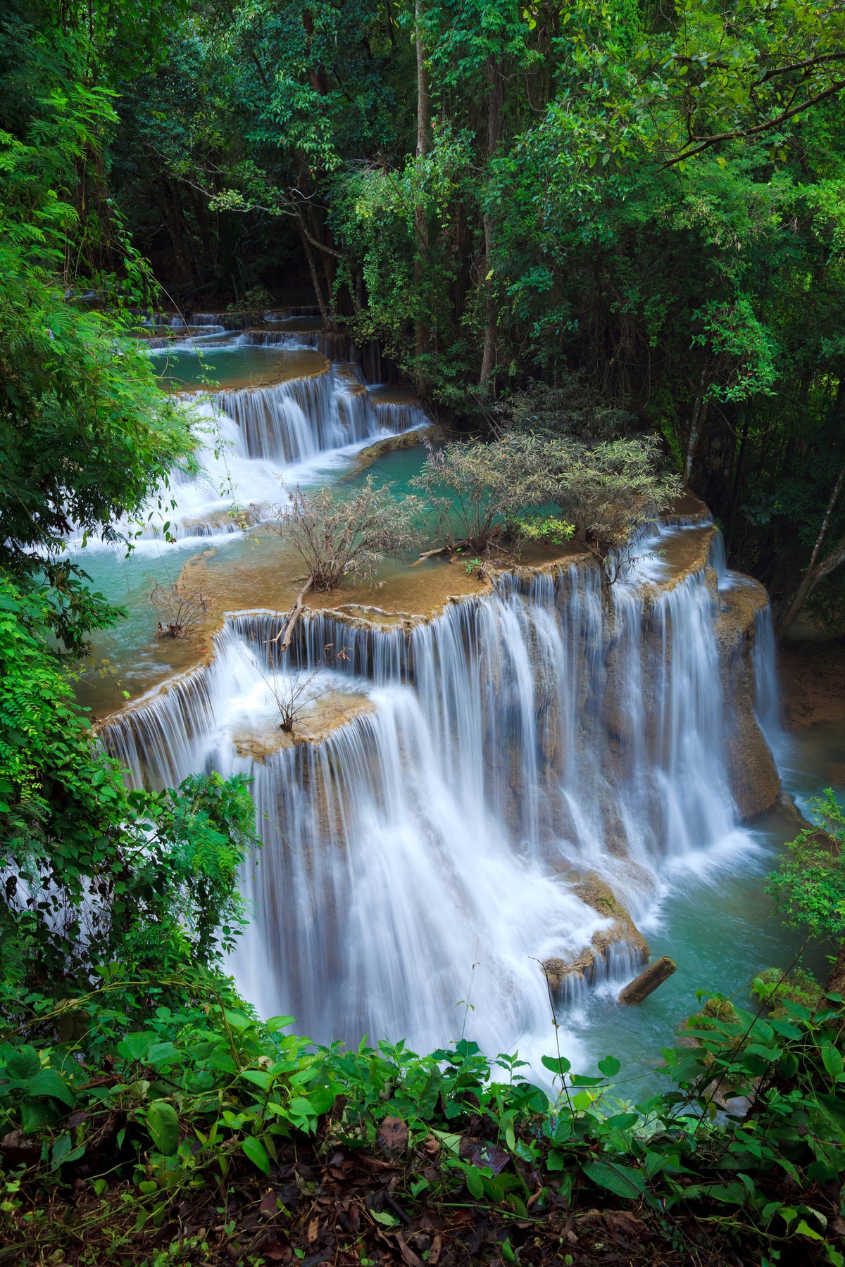 framedposter-print-deep-forest-waterfall