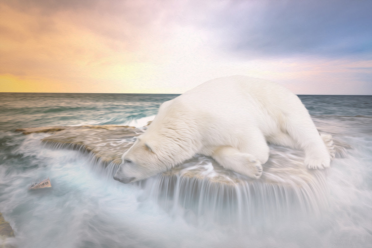 aluminium-print-the-polar-bear-and-the-sea