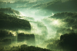 canvas-print-over-the-woods