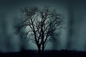 acrylic-print-the-tree-in-darkness