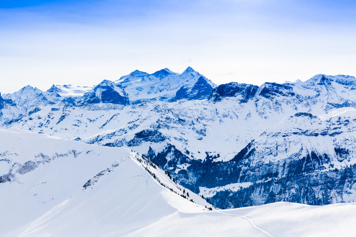 canvas-print-the-swiss-alps
