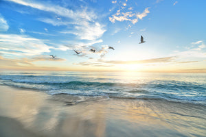 3-piece-acrylic-print-the-seagulls-and-the-sea-at-sunrise