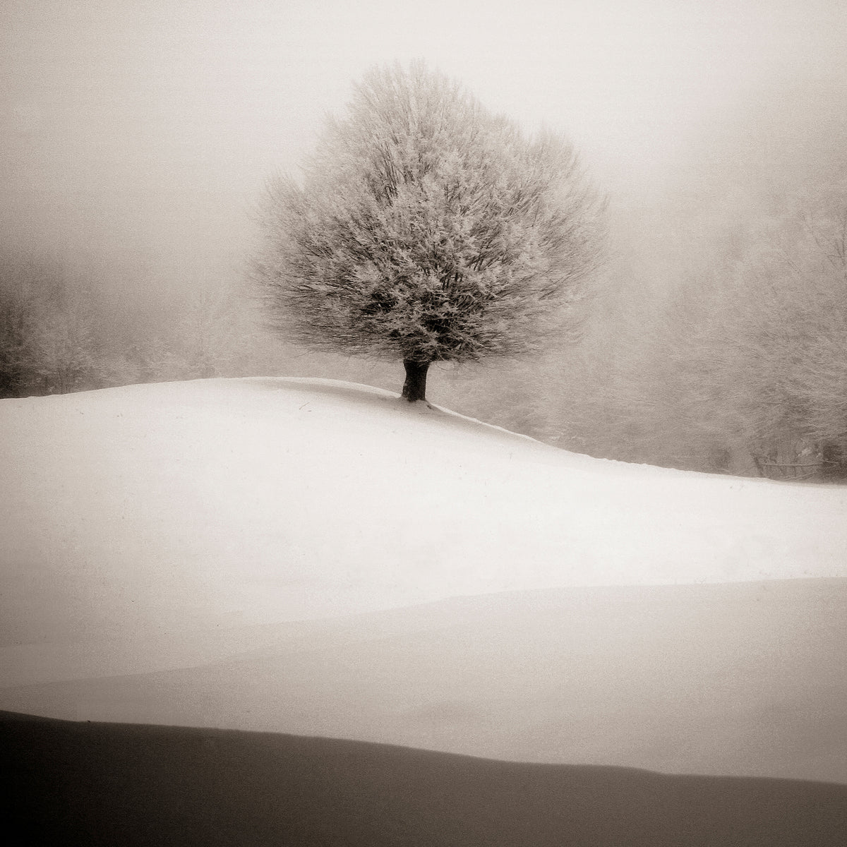 9-piece-canvas-print-winter-degradee