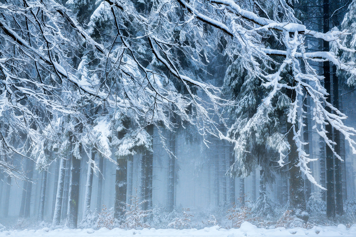 canvas-print-snowworld-x