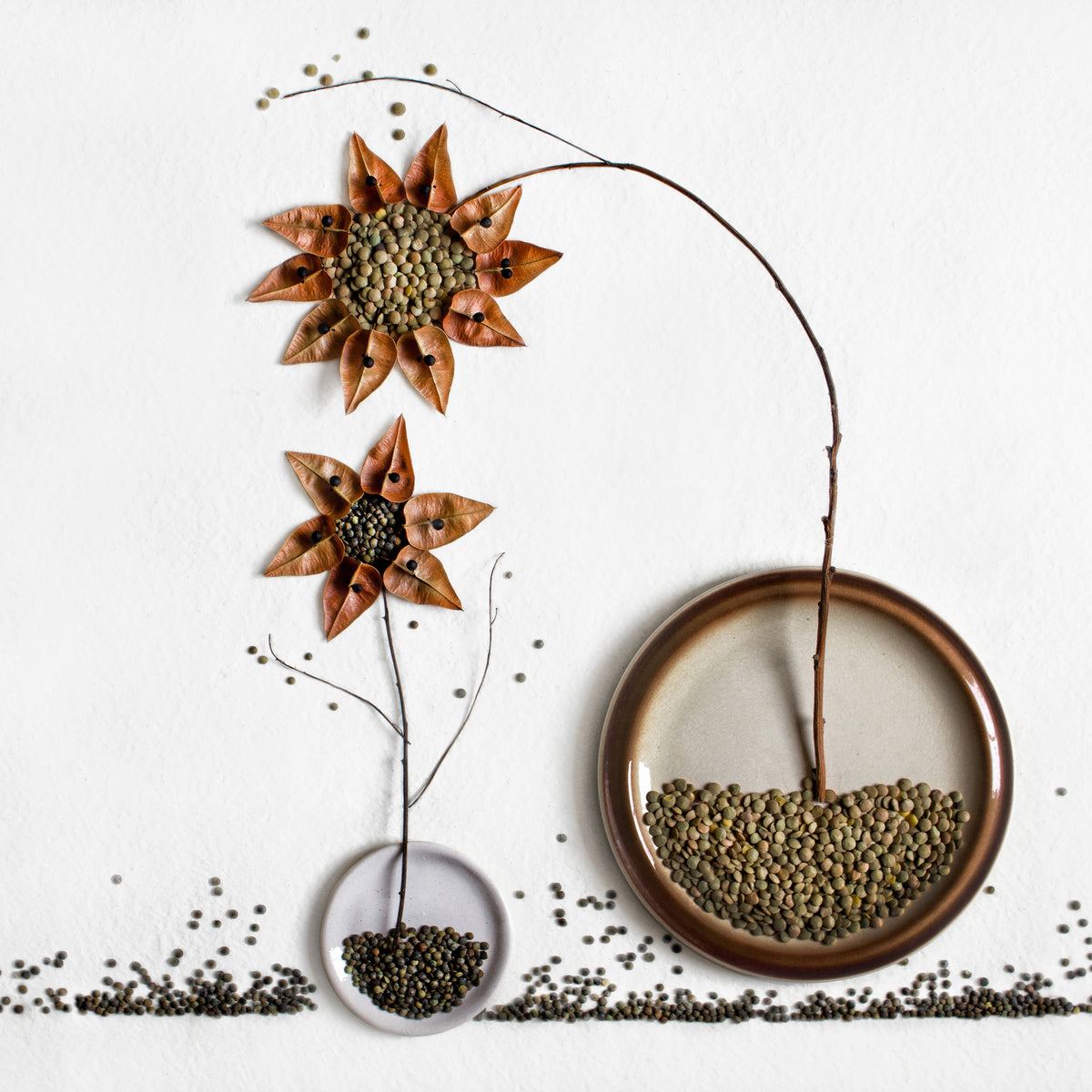 aluminium-print-herbarium