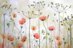 aluminium-print-poppy-meadow-x