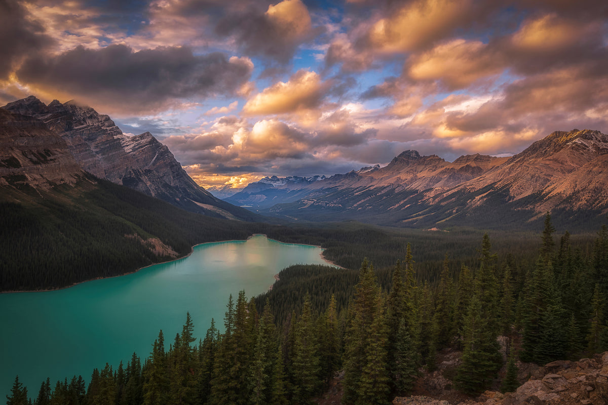 3-piece-acrylic-print-peyto-lake-at-dusk