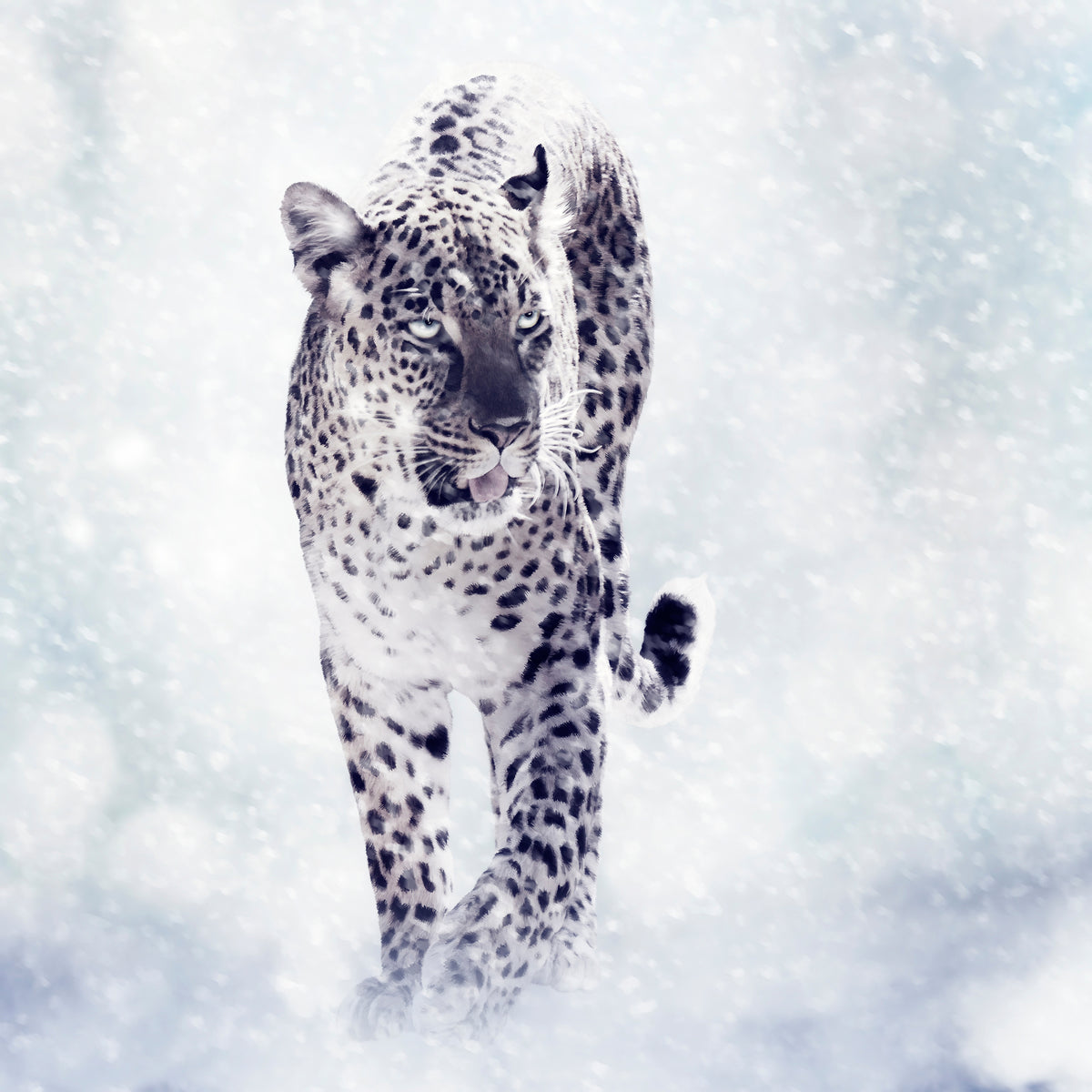 9-piece-acrylic-print-photo-wallaper-the-leopard