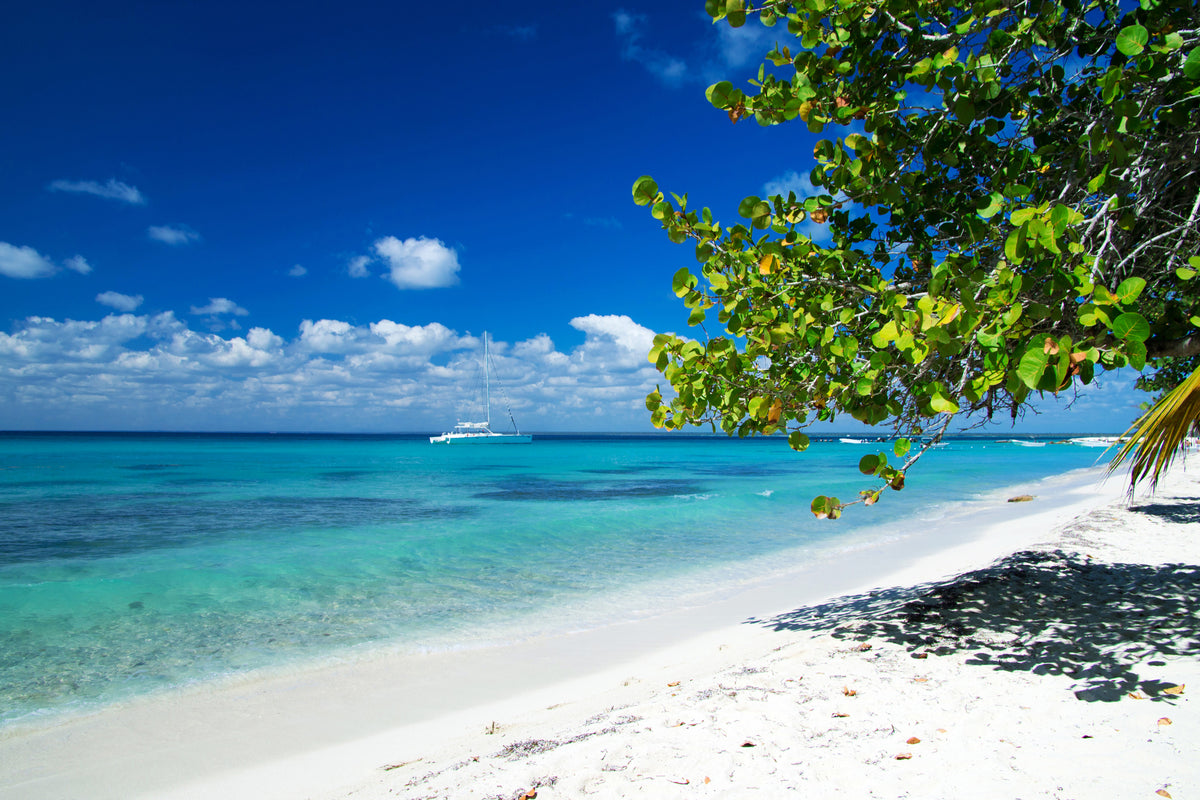 acrylic-print-happy-beach