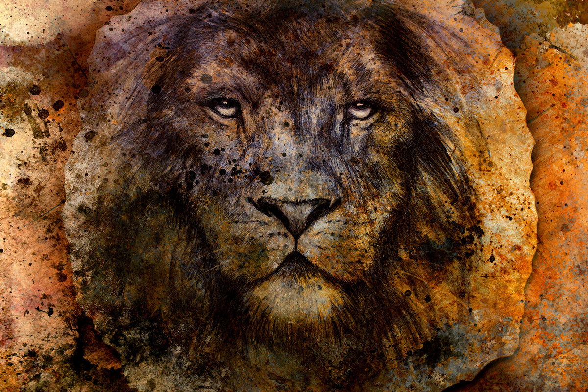 framedposter-print-portrait-of-a-lion-ii