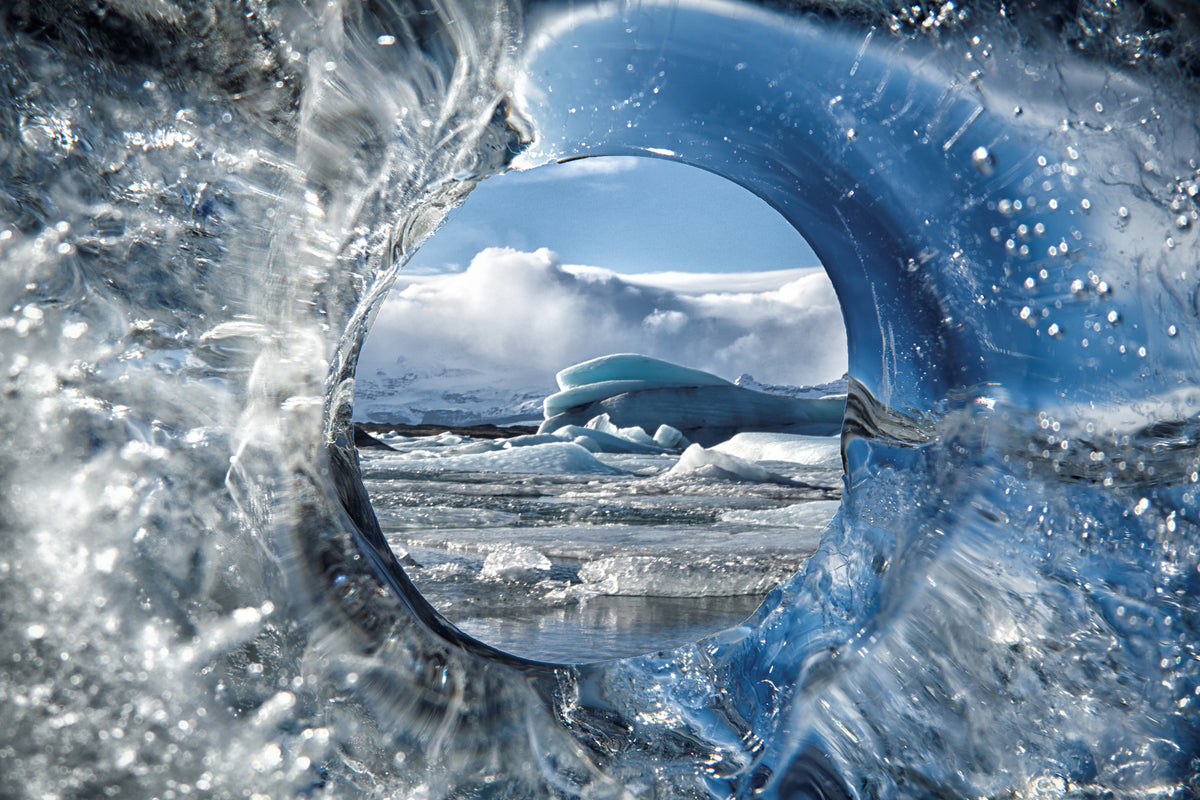 canvas-print-circle-of-life-x