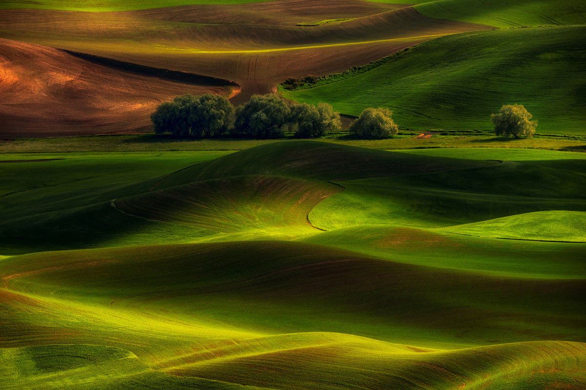 canvas-print-spring-in-the-palouse