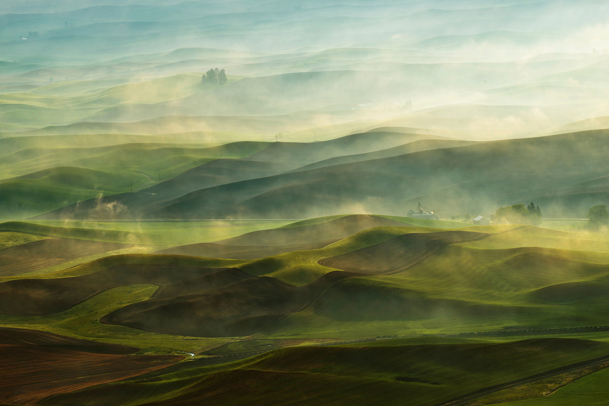framedcanvas-print-golden-morningpalouse-x