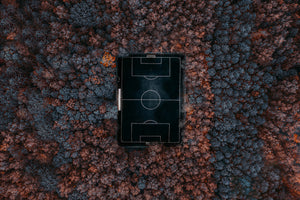aluminium-print-playing-in-the-forest-x