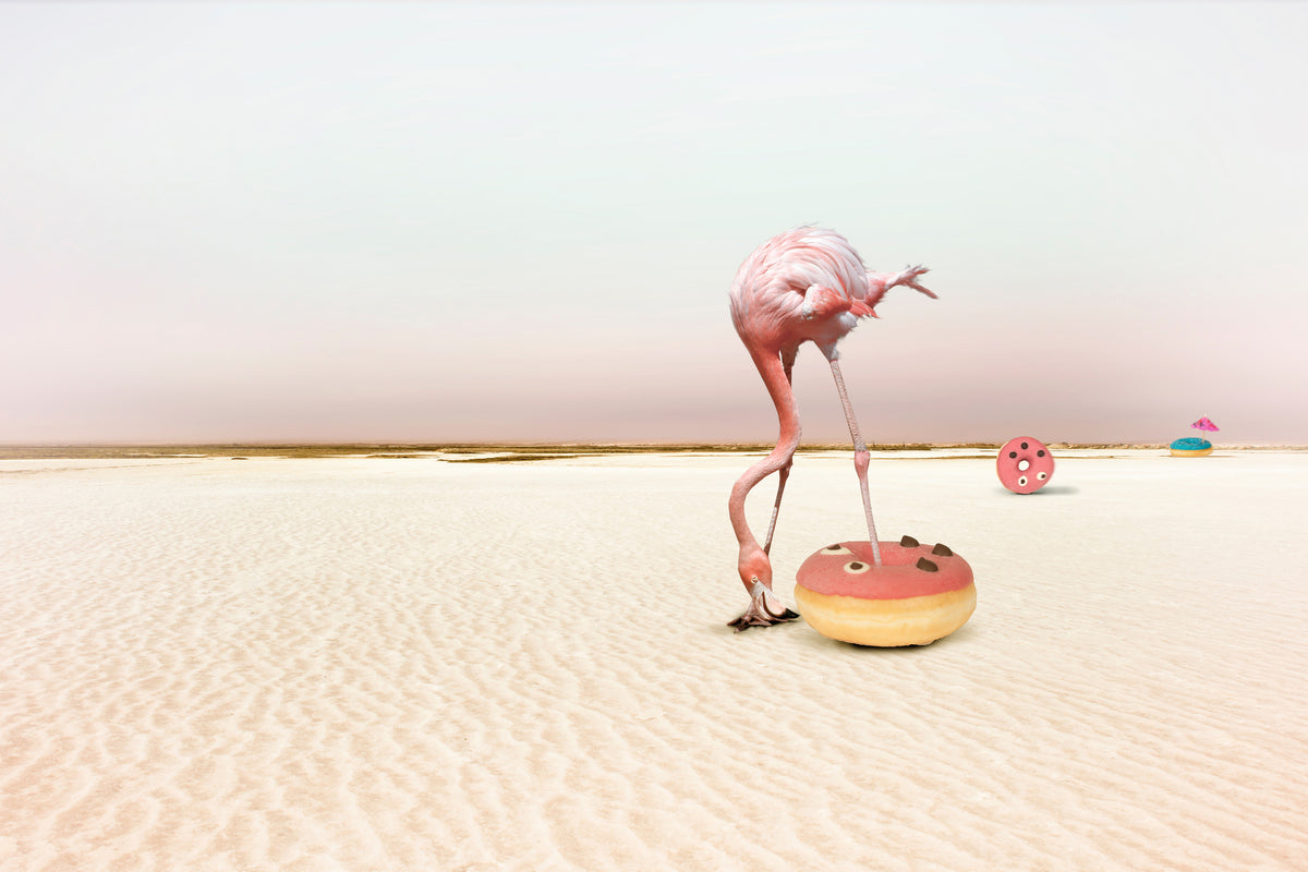 aluminium-print-donutbeach-x