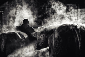 3-piece-acrylic-print-farm-life