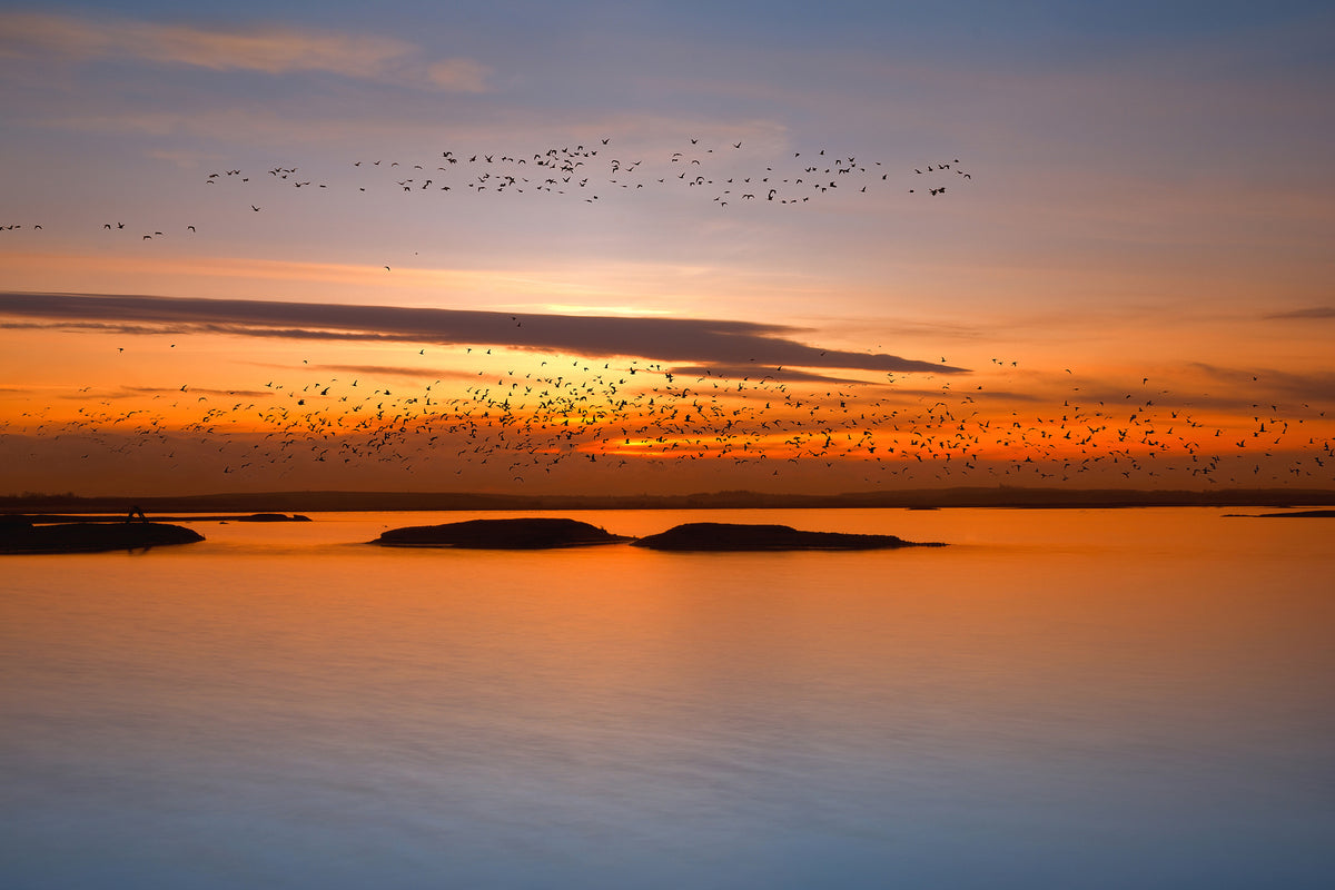 acrylic-print-by-sunset