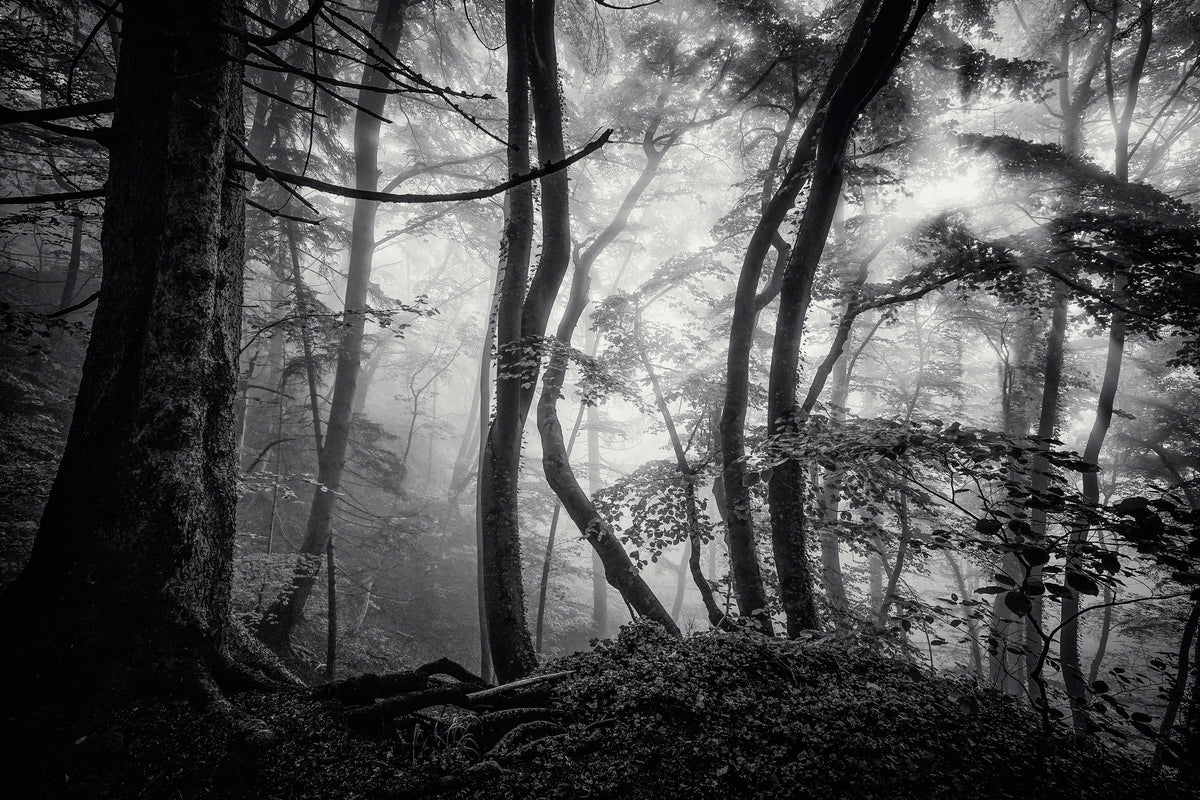 poster-print-mysterious-light