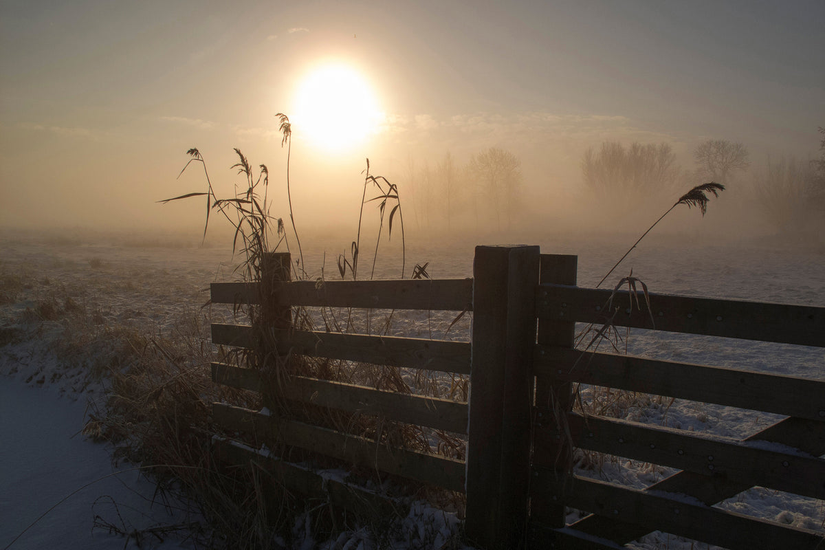 modern-3-piece-aluminium-print-winter-mood