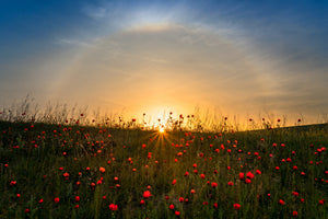 modern-3-piece-canvas-print-red-poppies-and-sunrise