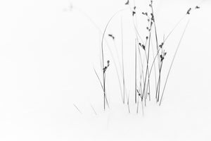 3-piece-acrylic-print-black-on-white