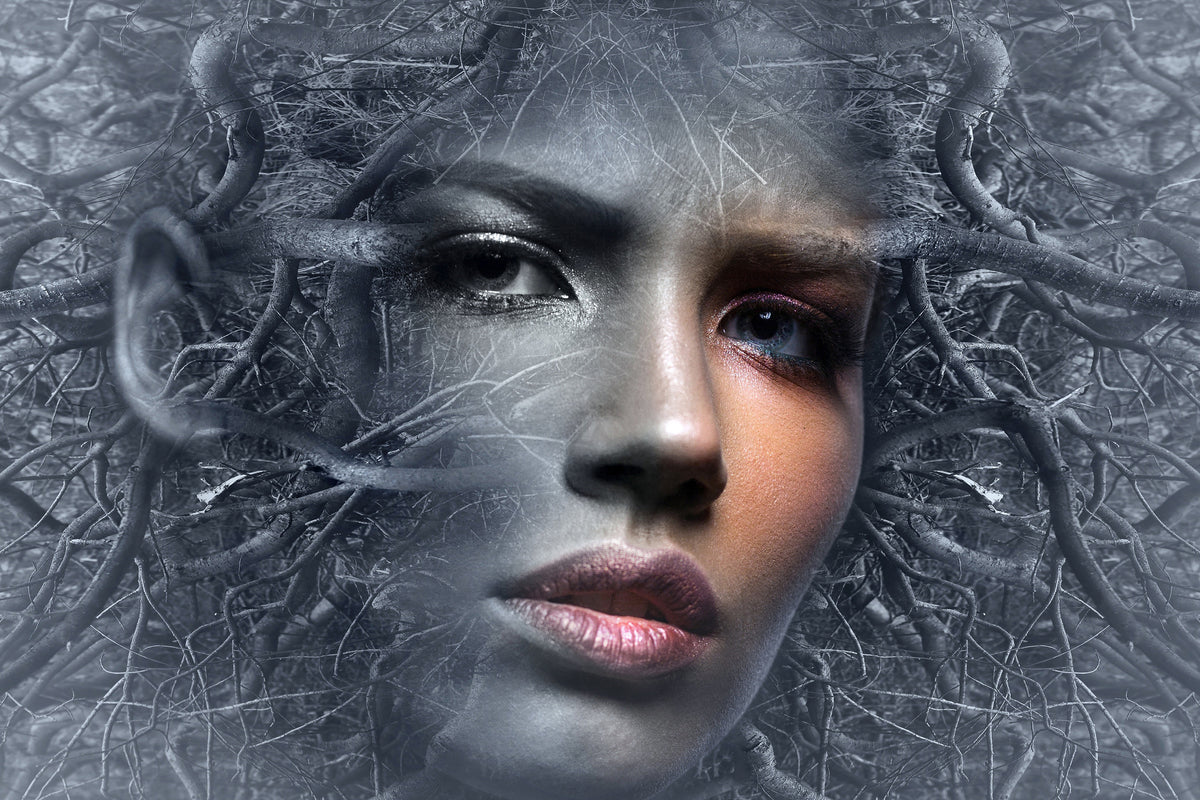 3-piece-acrylic-print-fantasy-face