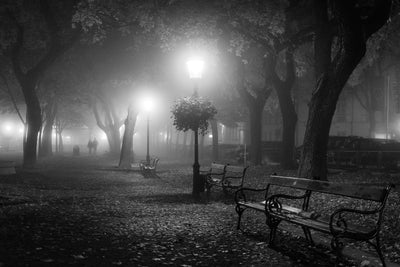 poster-print-foggy-day-x