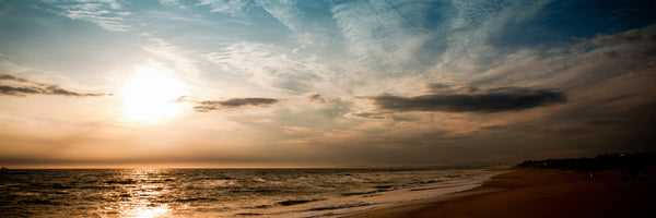 panoramic-aluminium-print-beach-walk-d-panorama