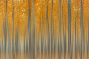 modern-3-piece-aluminium-print-autumn-delight-ii