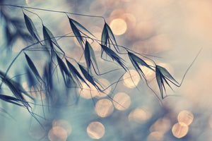framedposter-print-straws