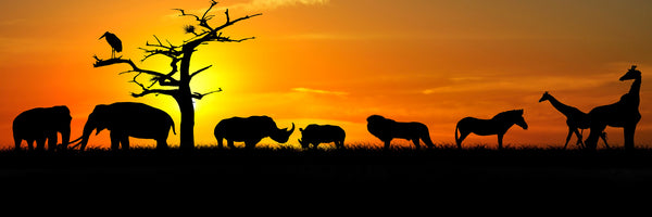 panoramic-poster-print-safari-animals-at-sunset-panorama