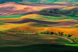3-piece-aluminium-print-the-palouse
