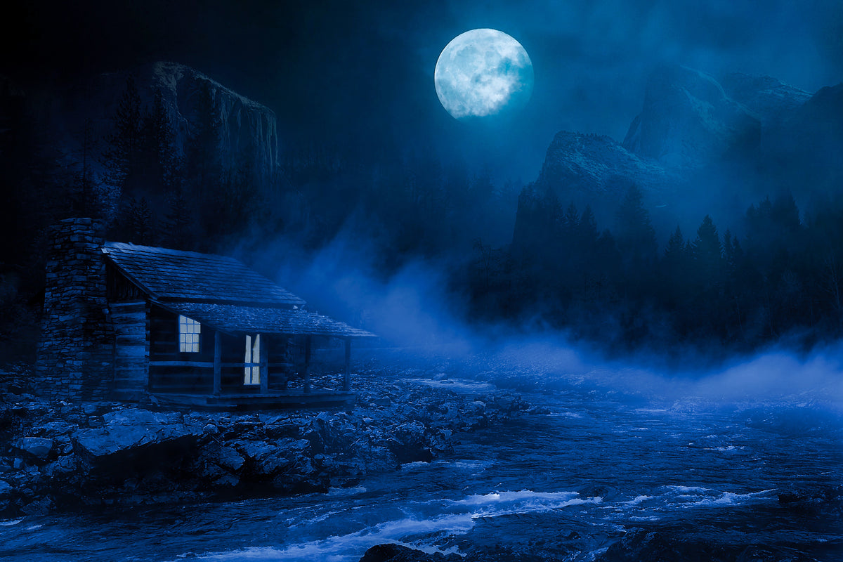 acrylic-print-at-night-in-the-woods