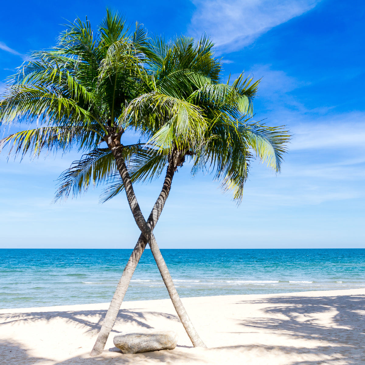 4-piece-acrylic-print-dream-beach-caribbean