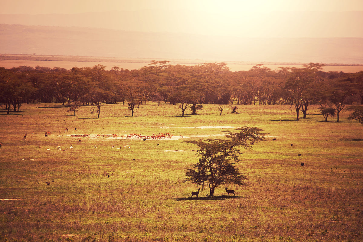 3-piece-aluminium-print-picturesque-africa