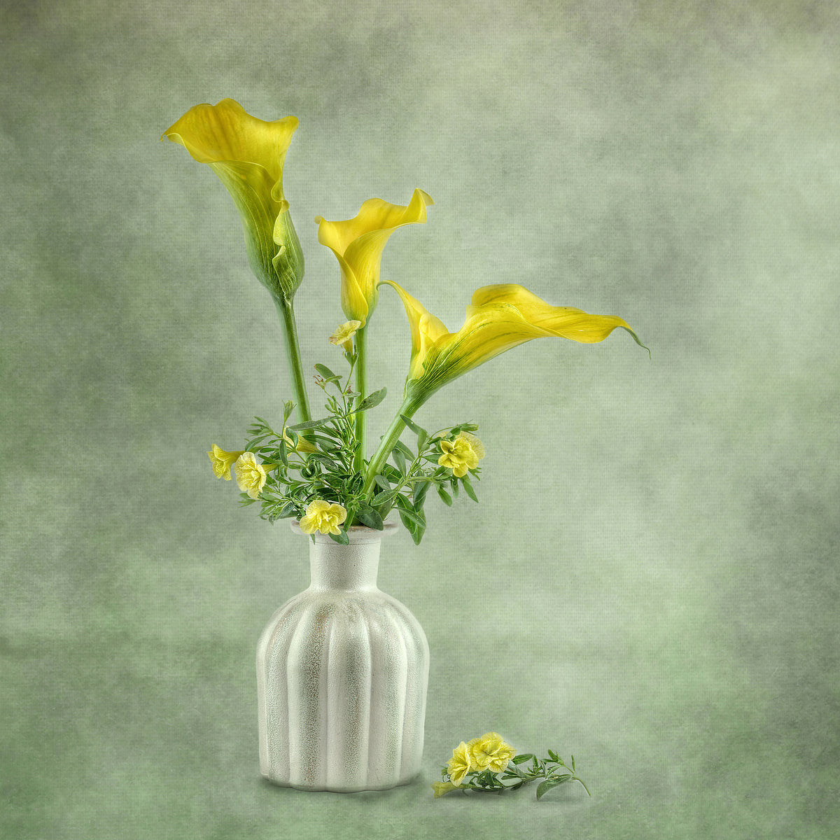 4-piece-aluminium-print-calia-lillies