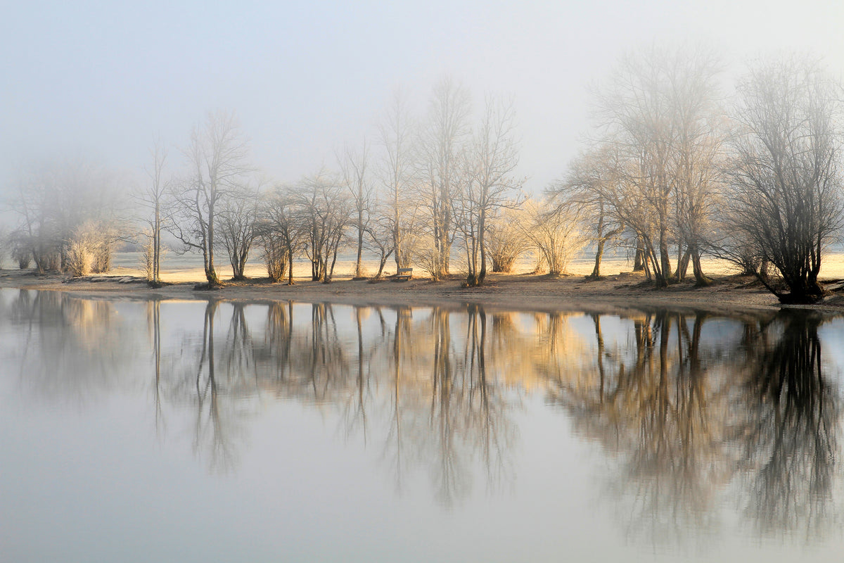 framedcanvas-print-january-morning