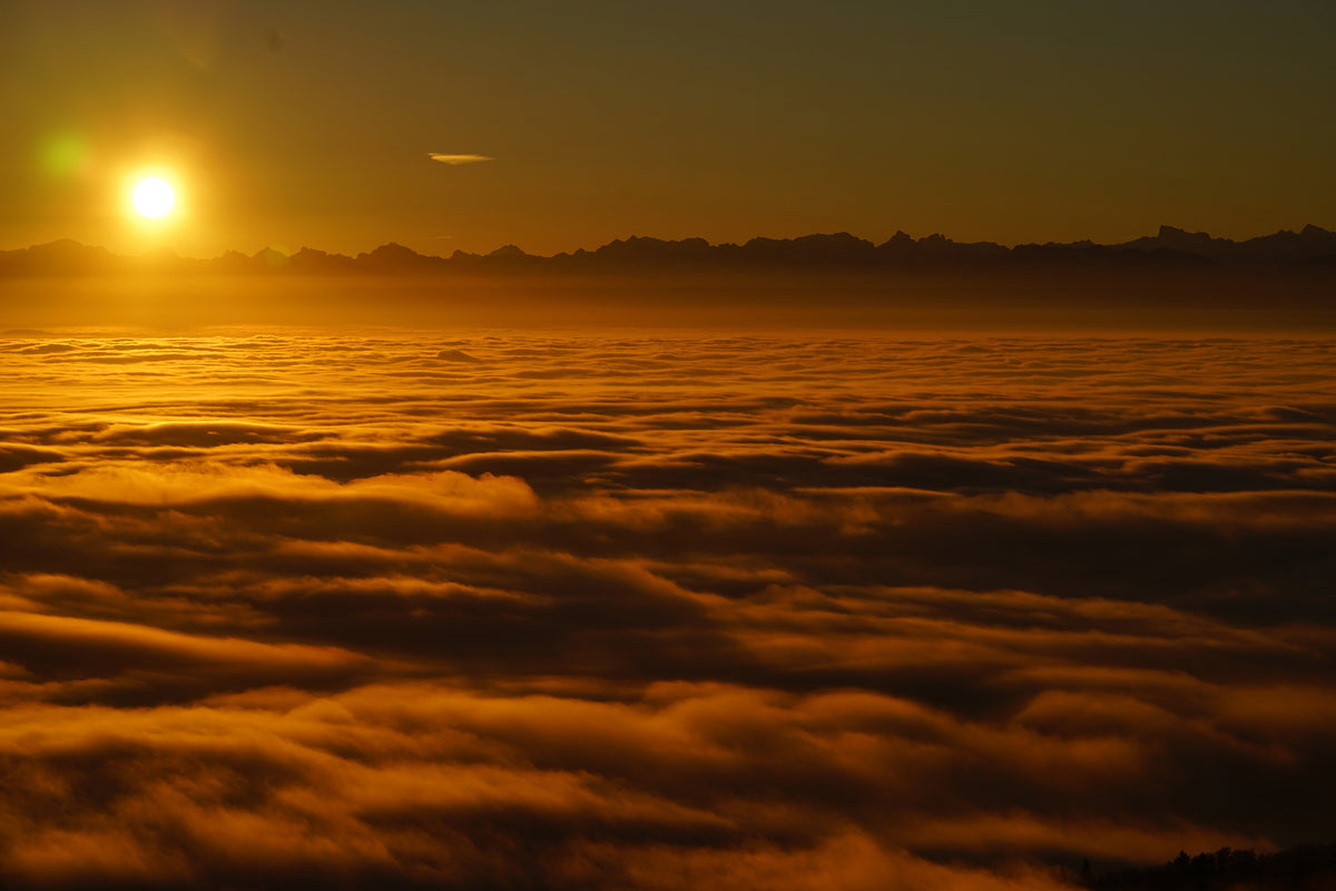 poster-print-sunrise-in-the-nature
