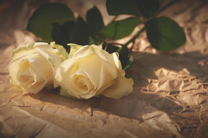 canvas-print-the-purity-of-the-roses